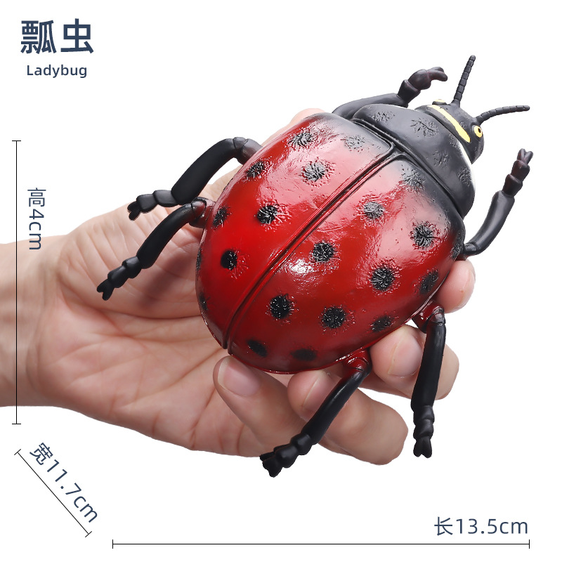 Coccinelle