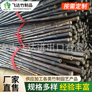 Purple Bamboo/Instrument Bamboo Pole/Beautiful Color/Gold Bamboo Evergreen Bamboo