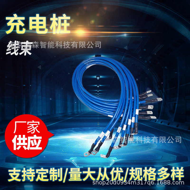 线束加工新能源汽车线束 充电桩内部连接线 电子线 排线 端子线