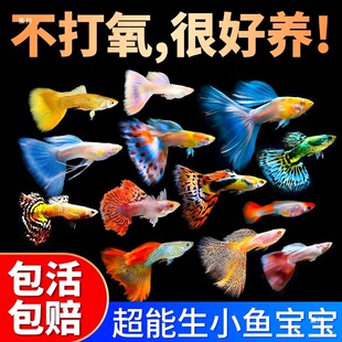 ��ȸ�~�Ꭷ���N���~�絭ˮС�ͺ��B���^�p�~̥���Pβ�~�����~