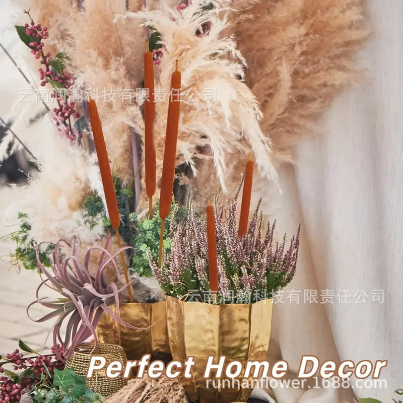 Natural Reed Sticks, Dried Flowers, Large Reed Sticks, Scene Layout, Shooting Props, Home Furnishings, Large Reeds, Cross-Border Wholesale
