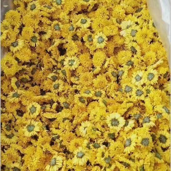 Yellow Chrysanthemum Powder Huang Ju Hua Fine Herbal Powder 500g for Tea and Face Masks in use