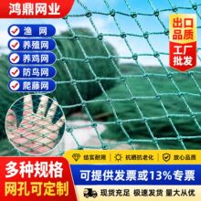 渔网尼龙网拉网拖网鱼塘养鱼网箱养殖网布编织网孔鱼网鸡网防护网