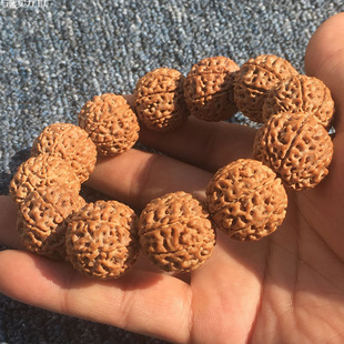 ����������ִ��SƤԭ��5��6��7��8��9��ӡ��tƤ�M�����������