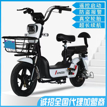 星烛牌电动车新国标电动自行车48V电瓶车两轮批发厂家智能电动车