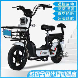 星烛牌电动车新国标电动自行车48V电瓶车两轮批发厂家智能电动车