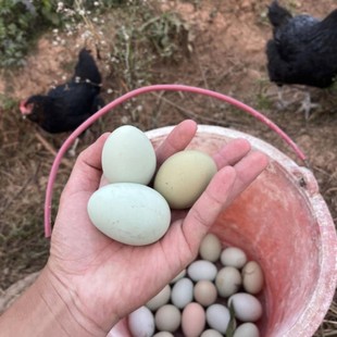 ���Aɽ���u���r��ɢ�B���r�G�����u������b��ͯ�I�B���������l