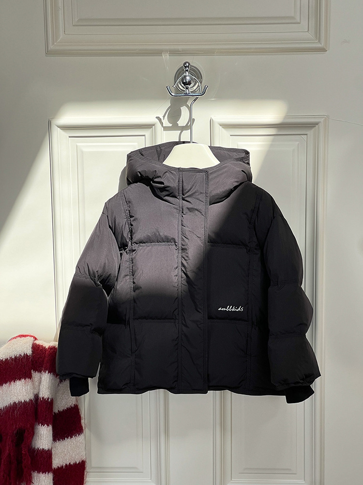 2024-11-08 113408.jpg