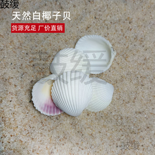 ��Ȼ��ɫ��ؐ���ݪ{��Ҭ��ؐ �T�f�~��ˮ�����̨�b�DIYһ���b