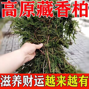 �������ز����֦�~�����͹������֦��լ�Bˮ���B����ȥ�ޚ��_�\