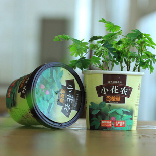 Small Flower Farmers DIY Kidsren's Planting Spring Garden Mini Plant Street Stall Office Small Potted Plants