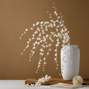 �羳�¿��}�Q���b�Ʒ�����֦���Ո����Շ����õ��߻�ˇƴ���b�