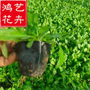 �ر���β�����޸��ر����ع��� �@�ֹ��̾G���� �������^����