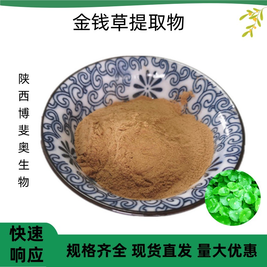 金钱草提取物10：1浸膏免费样品博斐奥生物现货包邮水溶金钱草粉