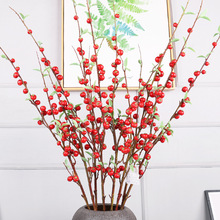 tɫ{cbСt͏d滨[lֲؔ