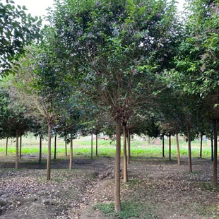 �������l ���~Ůؑ ��� ���ԃr�� ��·���^�е���@�־G����ľ