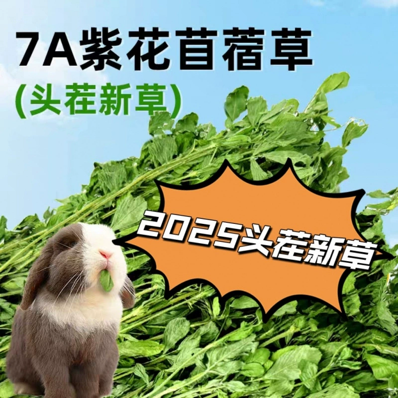 Высококачественное сено люцерны, корм для кроликов, сушеная трава, закуски для кроликов, съедобный корм для морских свинок, шиншилл и кроликов, сено люцерны.