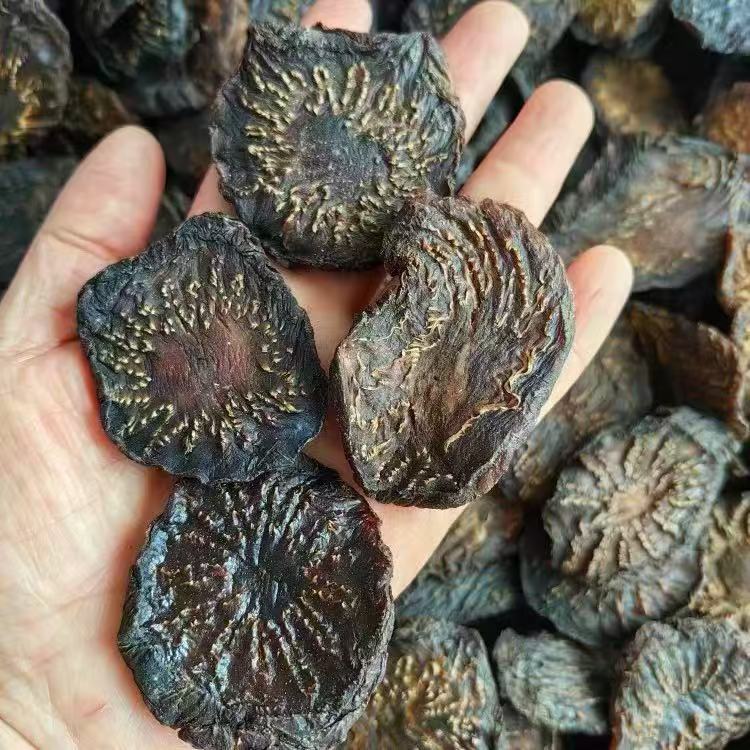 Cistanche Deserticola Rou Cong Rong Dried Herb 500g for Tonic Wine and Decoctions Xinjiang Origin overview