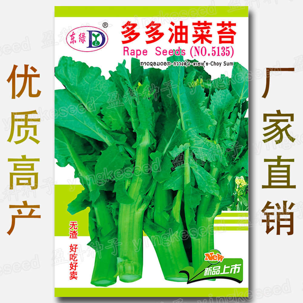 Duoduo Rapeseed Seeds Vegetable Seeds Wholesale Rapeseed Seeds Rapeseed Seeds Vegetable Seeds