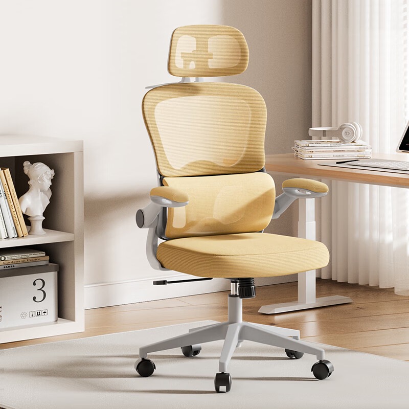 Customized Ergonomic Chair Double Backrest Computer Chair Home Sedentary Comfortable Dormitory Study Chair Office Seat Gray