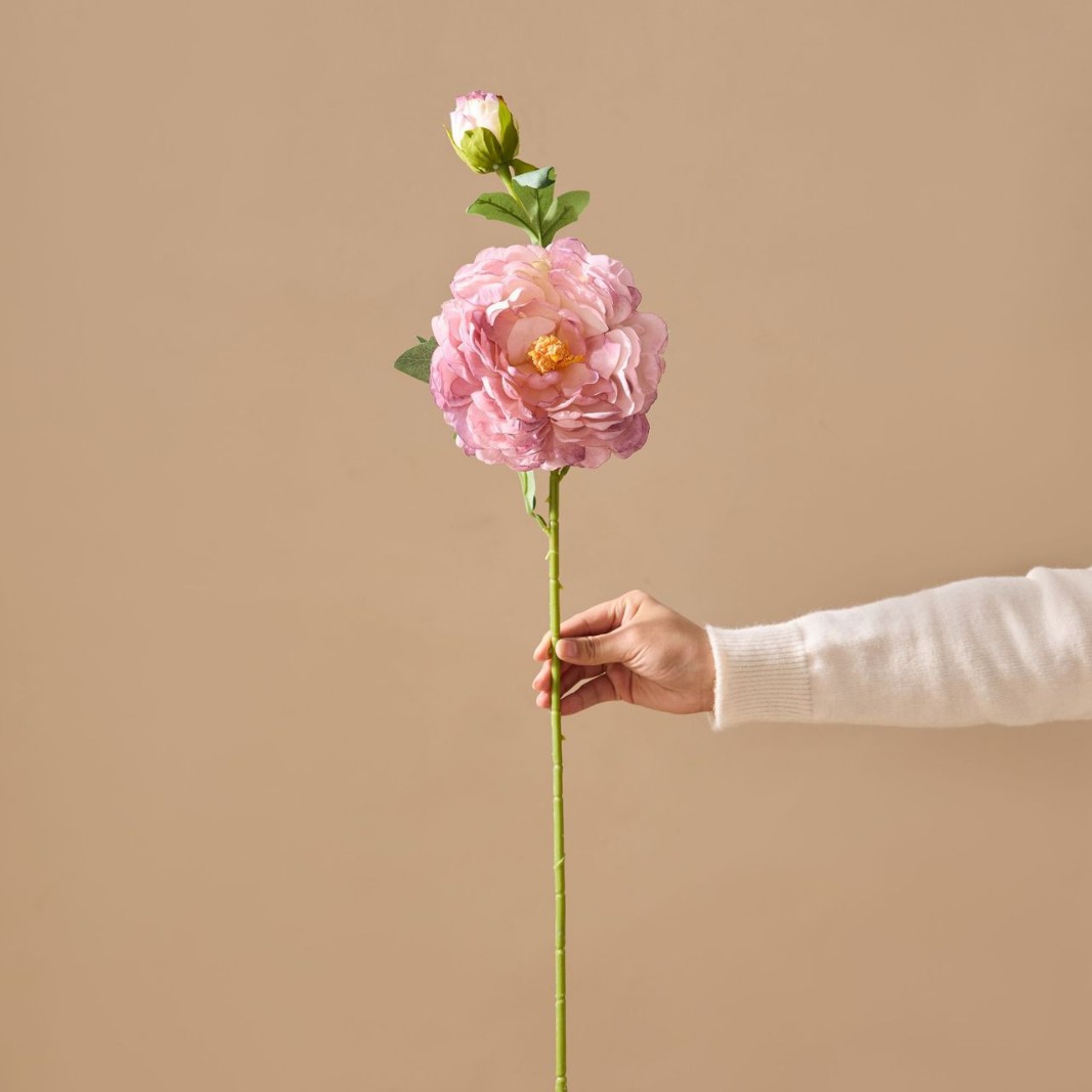 라이트 퍼플