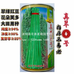 �ļ���ժ�����߮a�����N�ӾG�l���L���Ǵ����ܶ��߲��ļ����N��