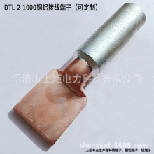 1000平铜铝鼻 方头加厚加宽铜接头铝鼻子 DTL-F-1000定 制款端子