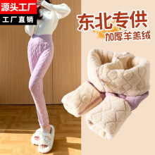 东北加厚保暖裤女冬季内穿羊毛自发热加绒女式羊羔绒外贸打底棉裤