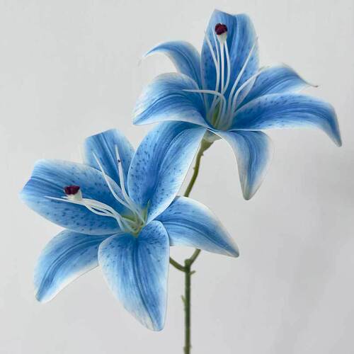 Double-headed lily simulation flower wedding wedding decoration flower material film fake flower path lead flower arrangement living room decoration
