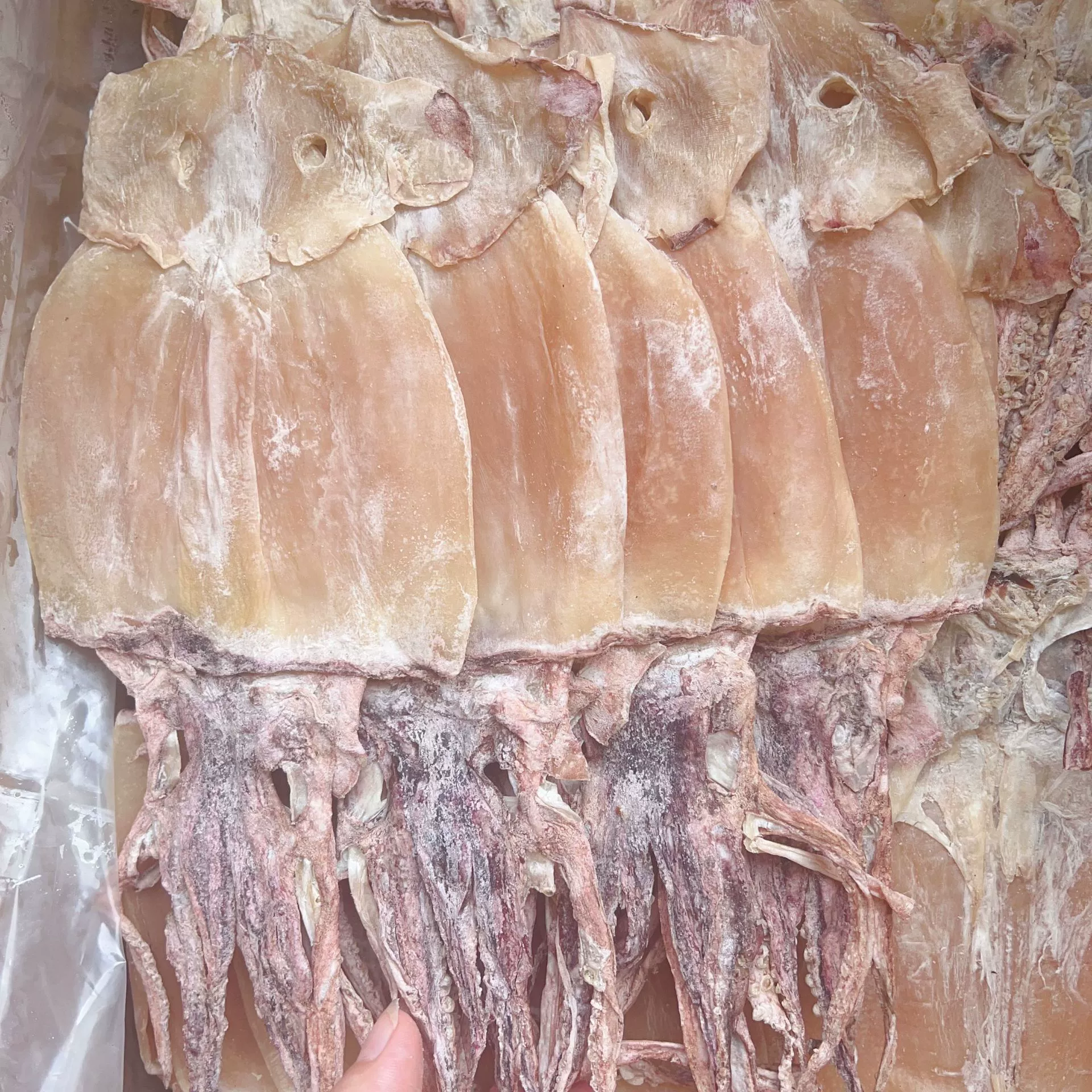 Сушеные кальмары