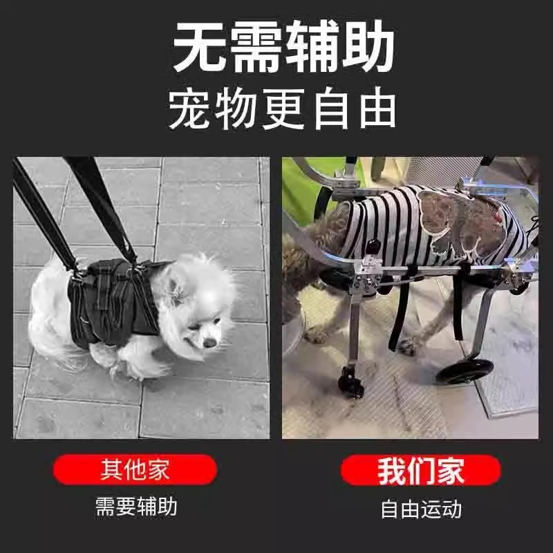 Silla de Ruedas de 4 Ruedas para Perros de Metal, Asistencia Posterior, para Perros Discapacitados