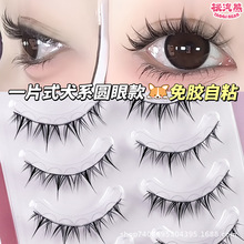 免胶一片式圆眼犬系假睫毛懒人浓密自然漫画新手仿真整条日常新手