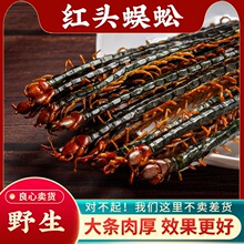 中药干蜈蚣国产药材红头正品散装吴公虫中草药非野生蜈蚣干中药材