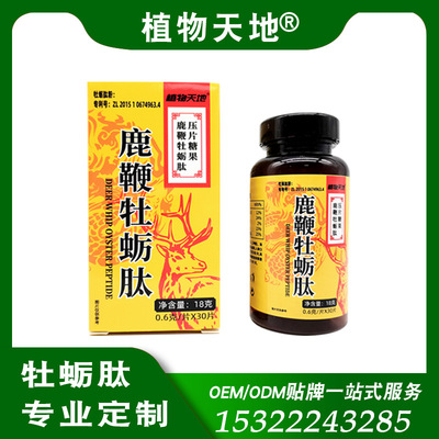 Chung Chi Male Maca Deer ginseng Oyster candy Tonic Nourishment source Manufactor Will pin gift