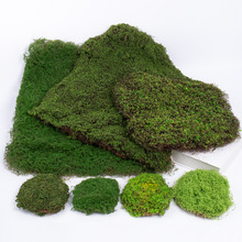 ̦\̦ ҃辰^쾰bϾG̲÷Gֲ