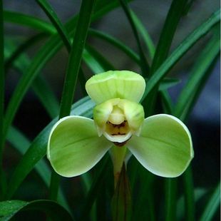 �m������ֲ���҃��ļ����m���㎧�������B�͏d��÷���F�m����