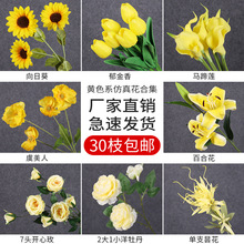 �Sɫ����c���߻���ĵ���b��üٻ����տ��ٻ���Y��ˇ����