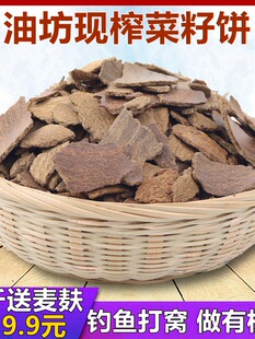 �������~��C�����~�D�ЙC���ʲ������T�~�C�ϲ�����Ϳݰ��]