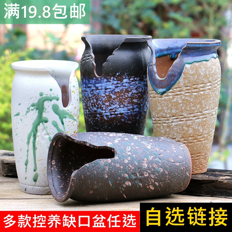 Extra-Large Irregular-Shaped Tall and Slender Succulent Flower Pot, Coarse Ceramic with Cut Edges, Ceramic Pot for Succulent Plants, Cliff-Style Old Stump Design