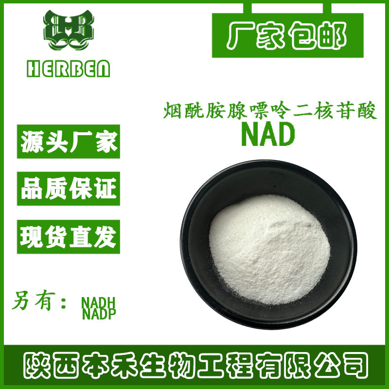 100g/袋NAD+ 烟酰胺腺嘌呤二核苷酸98%NADH还原型NADP氧化型本禾
