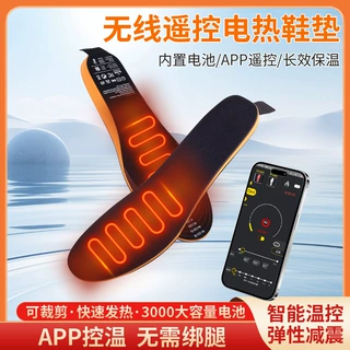 跨境发热鞋垫充电可行走 冬季户外保暖脚宝男女带三档无线APP调温
