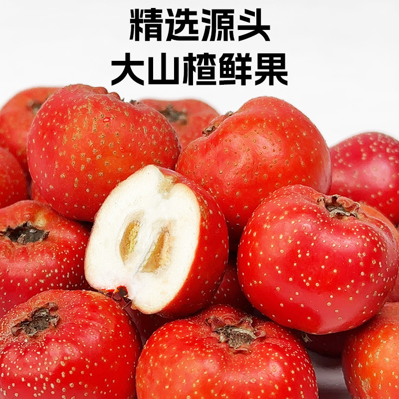 这食那食桑葚山楂条 剂儿童零食酸甜蜜饯果脯零食|undefined