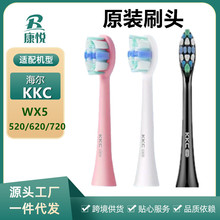 KKC原装电动牙刷头成人款牙刷替换头通用wx5/720/620/520杜邦刷头
