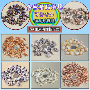 ����ؐˇ2-4cm����ؐ��DIY���ϰ� ؐ�������N ���к��b�