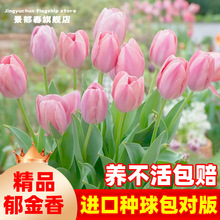 �M��������N��5�����ذ�ΰ�N�ӷ�ɫˮ���������Ե��Ժ�Խ���