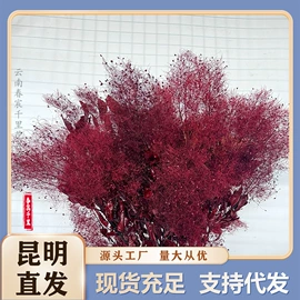 永生花;干花