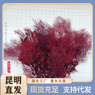 �������F�����S���t���F���������������l���W�L��c�쾰�b[��