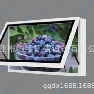 ̫�}���F�L�ӟ����������������P�醈�ڏS�ґ���ָ·�Ɵ���