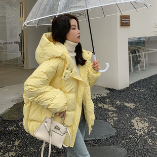 2025�궬���¿�p�g�ٴ����m���H�w���e�r������Ʒ�|�̿����³���
