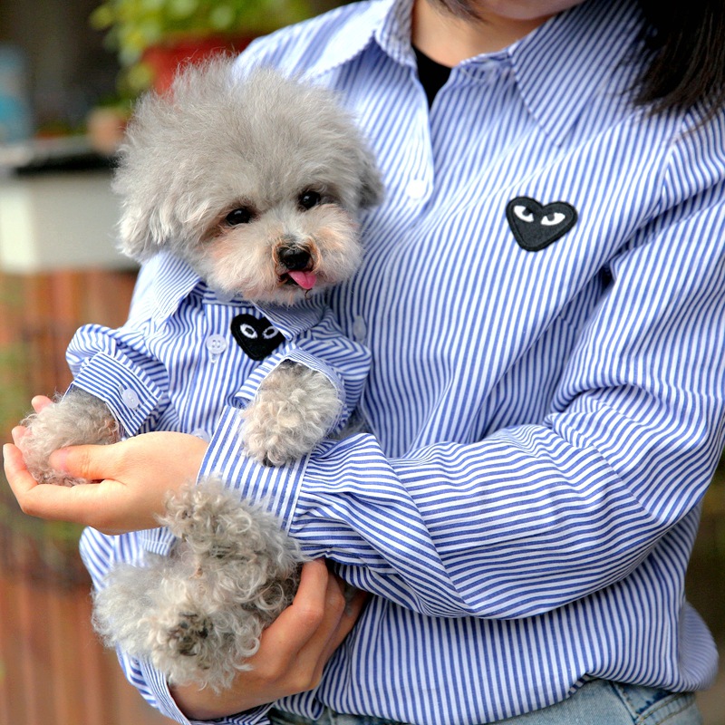 애완 동물과 주인의 부모-자식 고양이 곰 테디 개 옷 봄과 가을 얇은 여름 옷 봄과 여름 라인 ZHAO ZHISUN